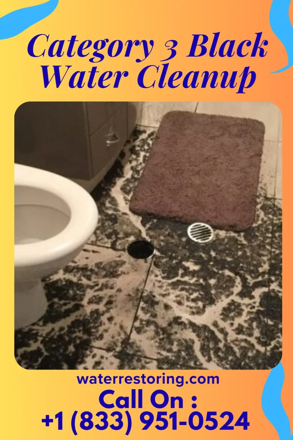 Category 3 Black Water Cleanup in Pawtucket, RI